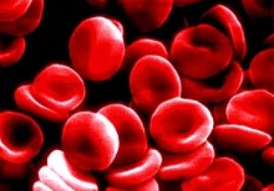 Natural Cures for Anemia