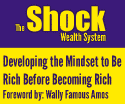 The Shock Wealth System