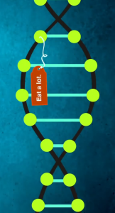 Epigenetic_Tags1