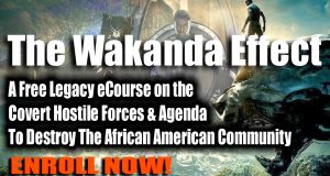 The Wakanda Affect