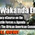 The Wakanda Affect