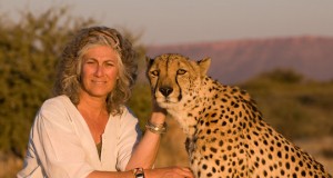 A Book Review on Dr. Laurie Marker’s A Future for Cheetahs